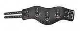 Pain Heavy Duty Padded Posture Collar Collars and Leads